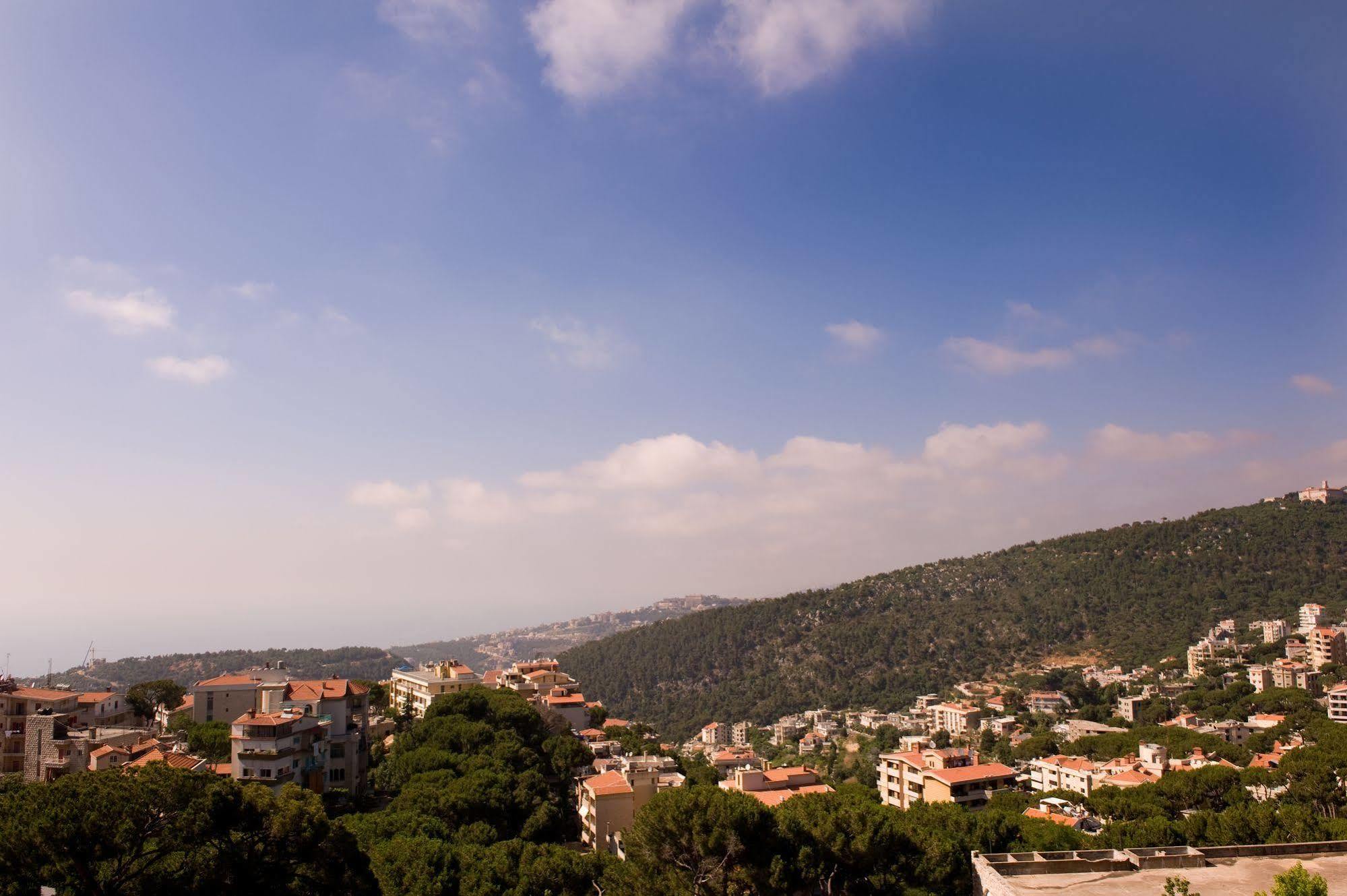 Printania Palace Hotel Brummana Dış mekan fotoğraf
